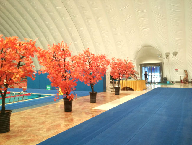 What is a membrane structure？